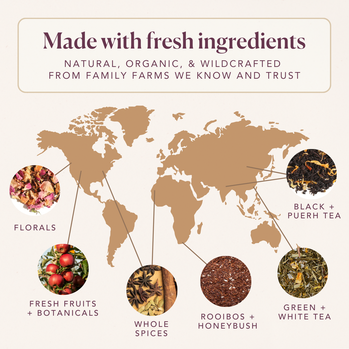 Stargazer Caramel Maté Chai