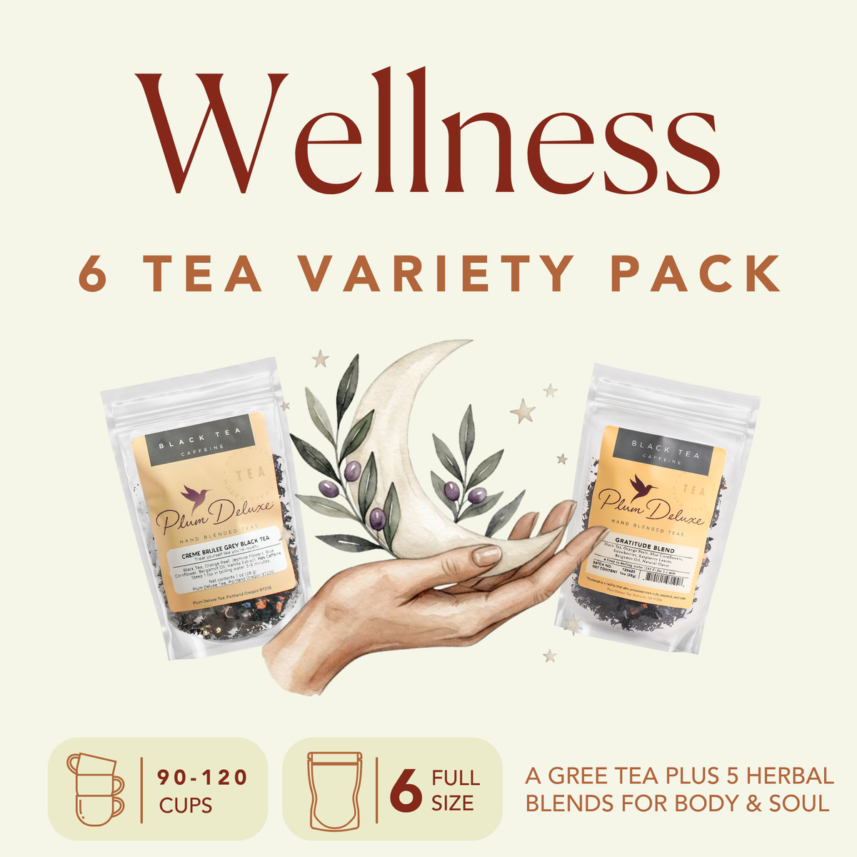 Wellness Tea Variety Pack [6 Flavor, From Sleep to Immunity]