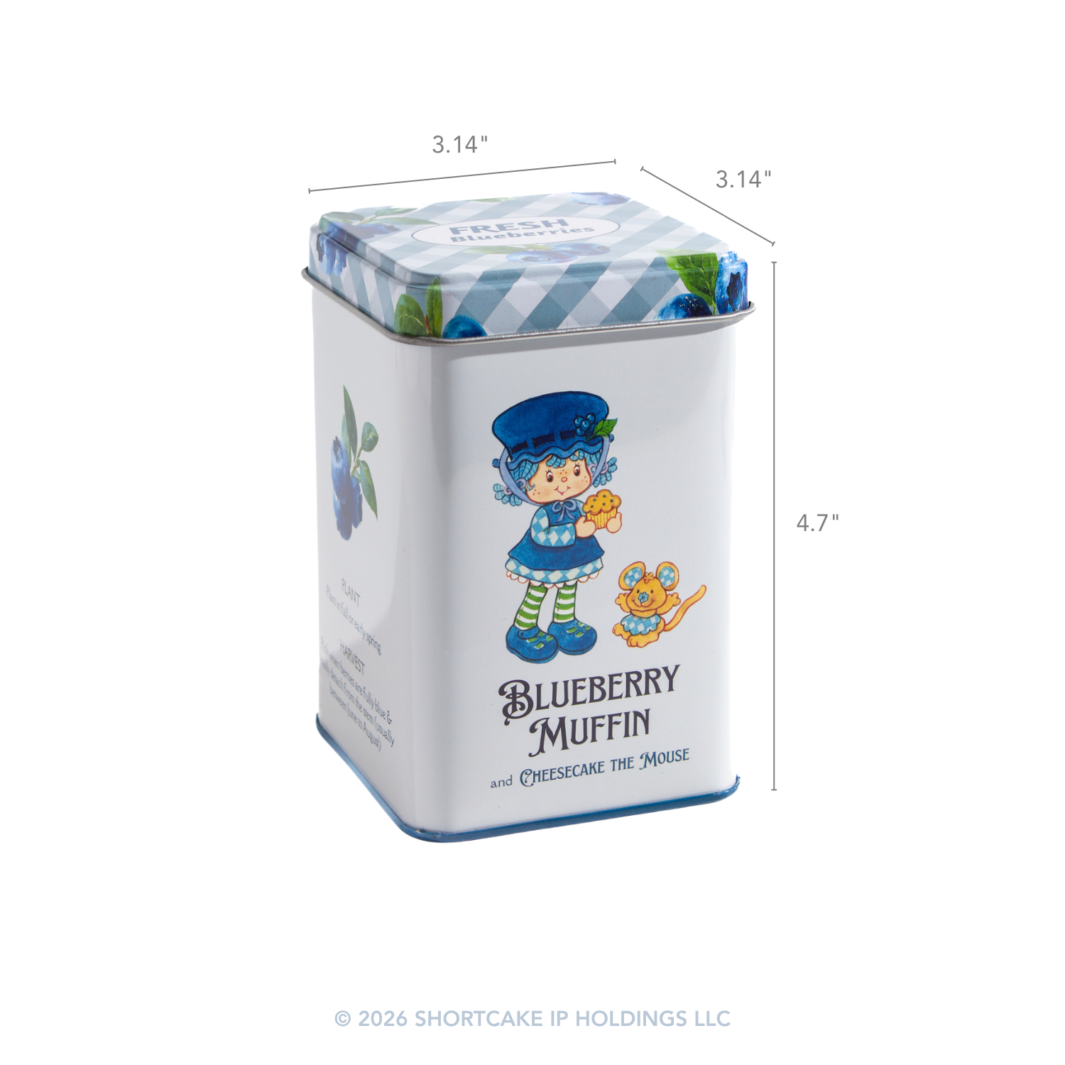 Blueberry Muffin™ Tea Tin