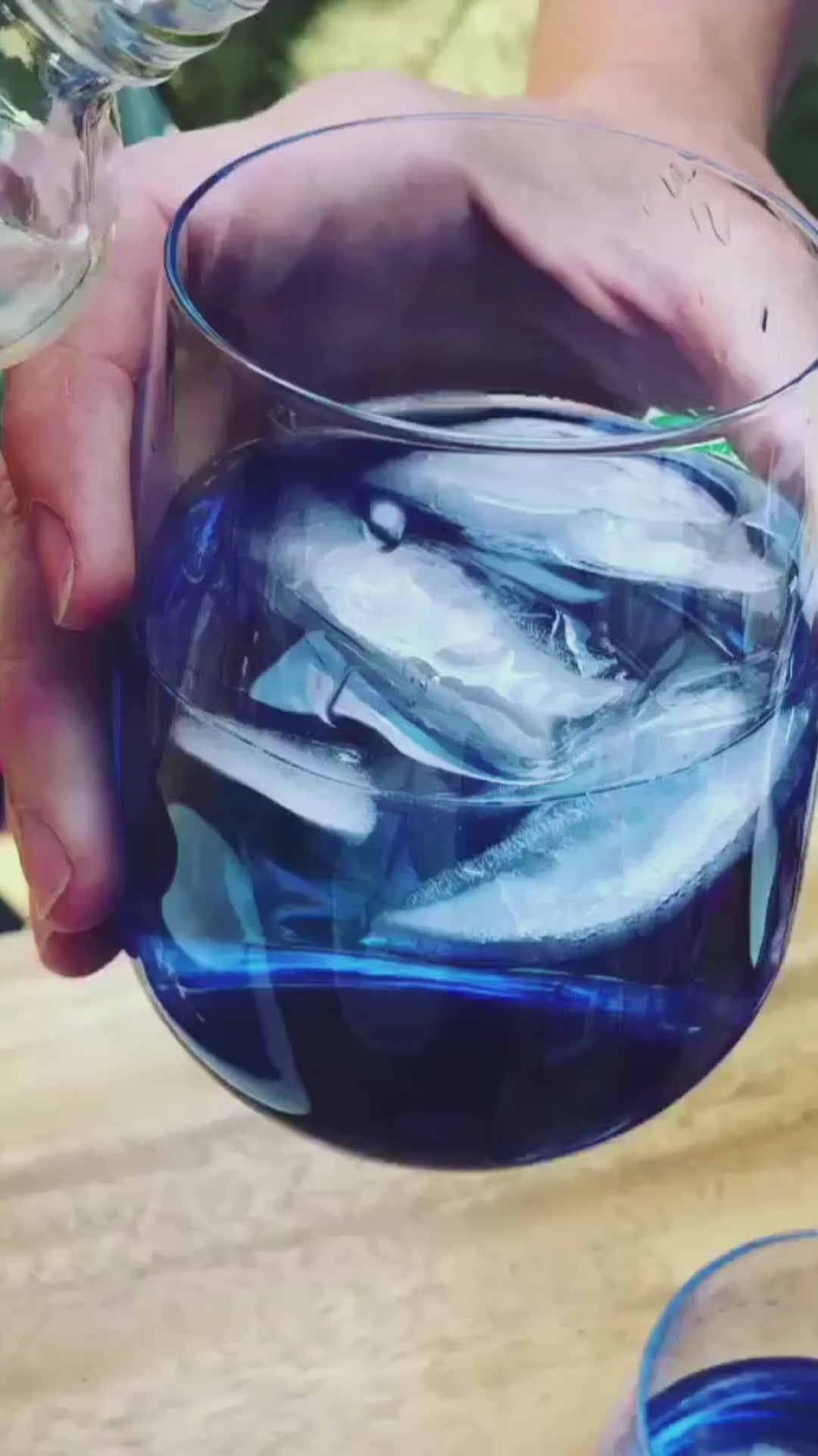 Butterfly Pea Sampler Kit